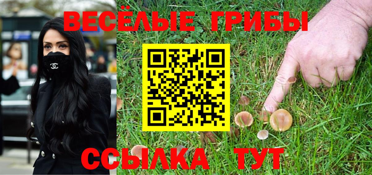 Галлюциногенные грибы ЛСД  Галлюциногенные грибы Magic Shrooms  Вход с VPN  Волжск 